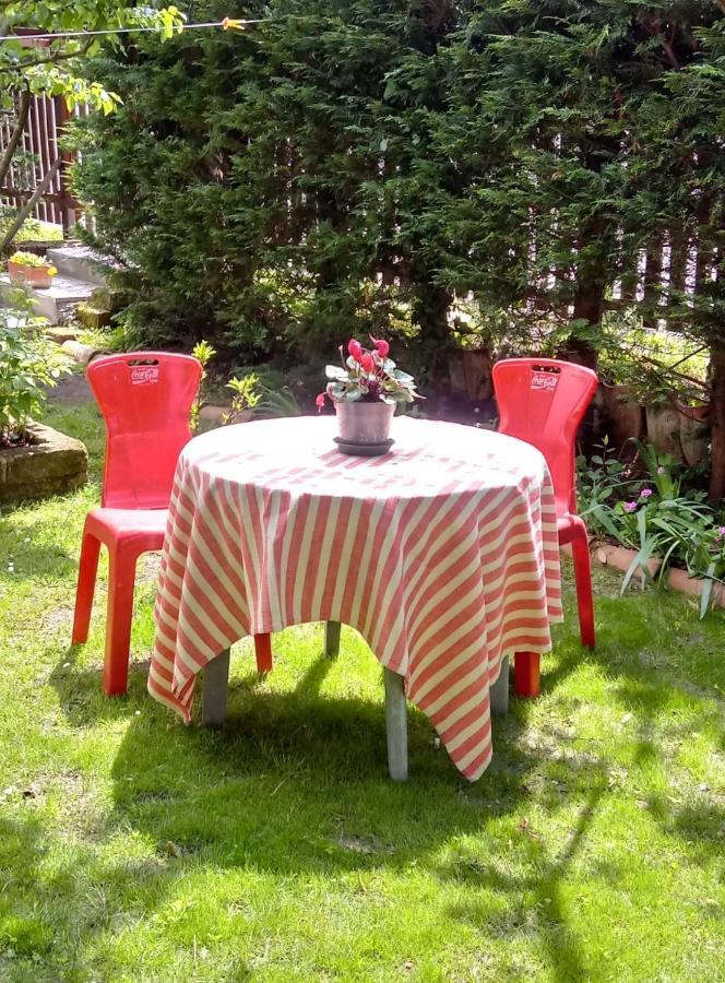 Bed And Breakfast Di Manu Taglio di Po Eksteriør billede